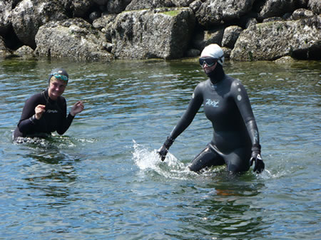 Friends of Lopez Island Pool: What are they up to NOW?
